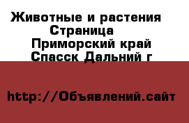  Животные и растения - Страница 3 . Приморский край,Спасск-Дальний г.